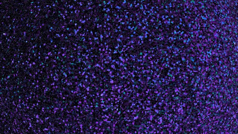 Close-up of purple and blue glitter